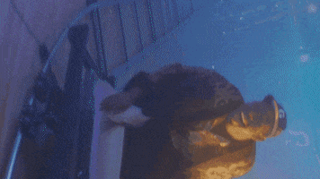 tyler the creator genesis GIF by Columbia Records