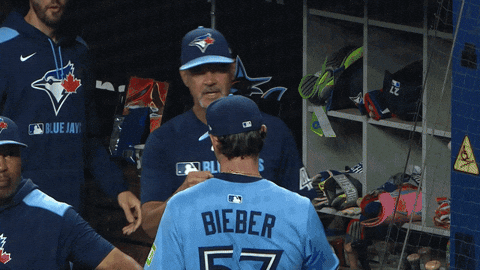 Blue Jays Baseball GIF by Toronto Blue Jays