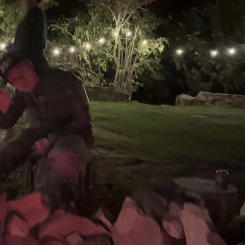 Tvln GIF by The Vanlife Network