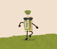 BFree_Foods vegan healthy bread vegetarian GIF