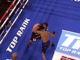 toprank fight boxing fighting espn GIF