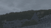 Mbm GIF by McGill University