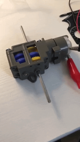 viviannchan giphygifmaker GIF