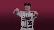 siusalukis siu salukis siusoftball salukisoftball GIF
