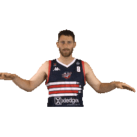 British Basketball League Josh Sticker by Bristol Flyers