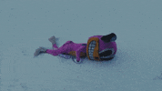 Dog Laying Down GIF by Portugal. The Man