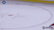 Happy Ice Hockey GIF by NHL