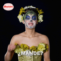 SidralMundet coco que dia de los muertos speak up GIF