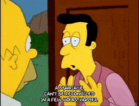 Season 2 Episode 20 GIF by The Simpsons