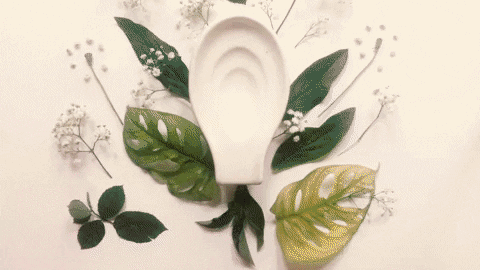 littlewavemakes giphyupload freebleed GIF