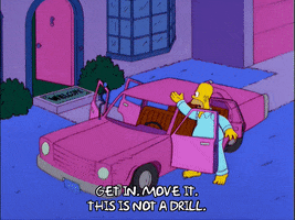homer simpson emergency GIF