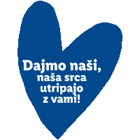 Navijanje Zmaga Sticker by Lidl Slovenija
