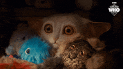 Blink Meep GIF by Doctor Who