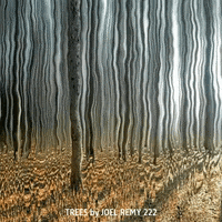Glitch Trees GIF by joelremygif