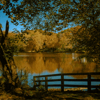 salcatalano_realestate  GIF