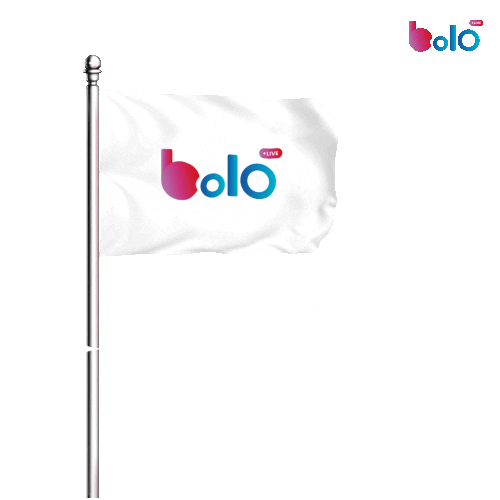 BOLOLIVE giphyupload flag gift proud Sticker
