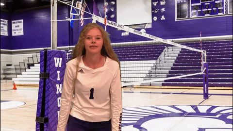 Volleyball GIF by WSUWarriors