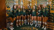 Dance Volleyball GIF by NDSU Athletics