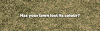 Green Grass Lawn Care GIF by Lawn Solutions Australia