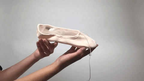 danswinkel papillon pk1012 GIF