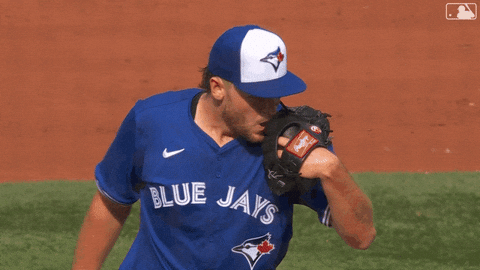 Blue Jays Baseball GIF by Toronto Blue Jays