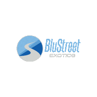 Exotic Car Sticker by BluStreet