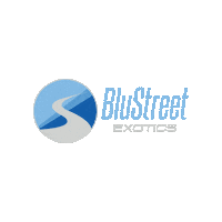 Exotic Car Sticker by BluStreet