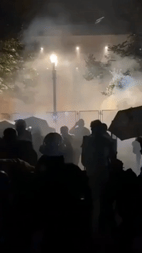 Protesters Use Leaf Blowers to Combat Tear Gas as Clashes Continue in Portland