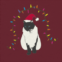 Happy Ragdoll Cat GIF by katdrawsit