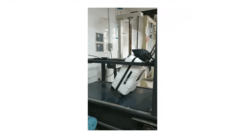 travelcase giphyupload GIF