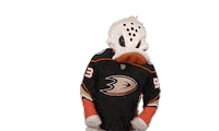 Ice Hockey No Sticker by NHL