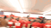 nicholls GIF by GeauxColonels