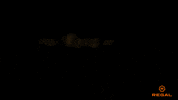 Regal Movies GIF by Regal