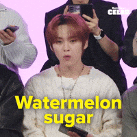 Stray Kids Skz GIF by BuzzFeed