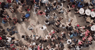 GIF by Fist Fight