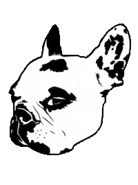 Dog Bulldog Sticker by Cavanagh Foyle