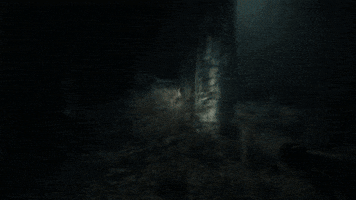 GIFS_ROV giphyupload GIF