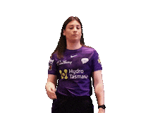 Cricket Wbbl Sticker by Hobart Hurricanes