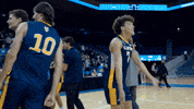 Uc Irvine Celebration GIF by UCI Athletics