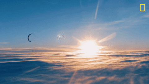 Nat Geo Sun GIF by National Geographic Channel