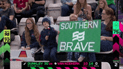 Cricket GIF by The Hundred