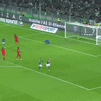 ASSEofficiel celebration asse teamasse team asse GIF