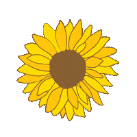 Friends Summer Sticker by Social Seeds