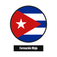 Flag Bandera Sticker by Formación Ninja