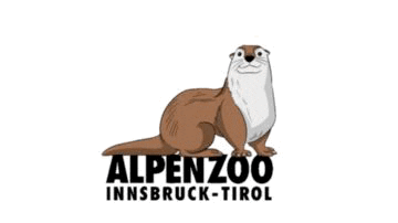 Otter GIF by Alpenzoo Innsbruck