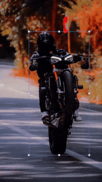 Onlyriders onlyriders ordripz GIF
