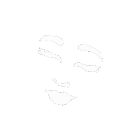 GraceGetsCreative face women abstract darling Sticker