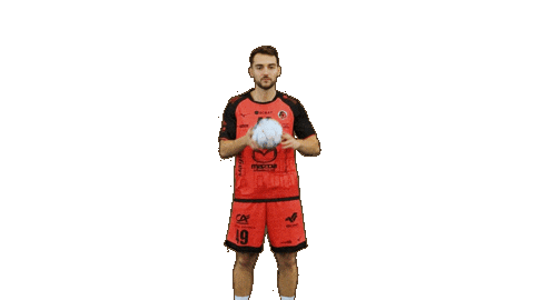 Handball Dragon Sticker by HCCA