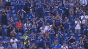 Veltins Arena Win GIF by FC Schalke 04