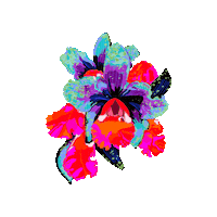 Saudades Sticker by HeZza FeZza